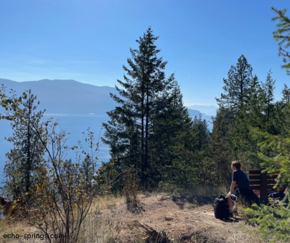 EchoSprings_ID's tweet image. Transitions are a time for reflection, and a time for looking forward. -Roy Cooper

#echosprings #emotionalfirstaid #guywinch #tedx #tedtalk #findyourpath #bestlife #liveyourbestlife #thehelpyouseek #thehelpyouneed