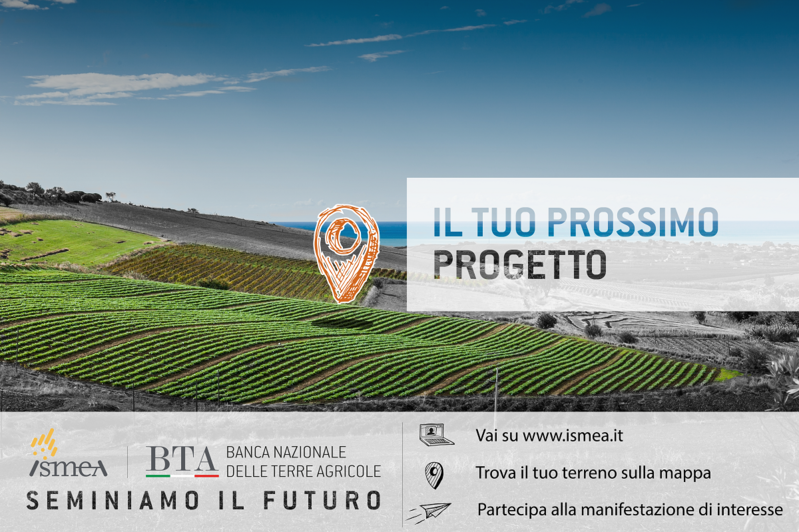 👉 Si è aperta la 6a edizione della #BancanazionaledelleTerreagricole: sono circa 20 mila gli ettari rimessi in circolo. Le procedure sono semplici, telematiche e aperte a tutti. Le domande possono già essere presentate, sino al 5 giugno 2023 bit.ly/bancaterre