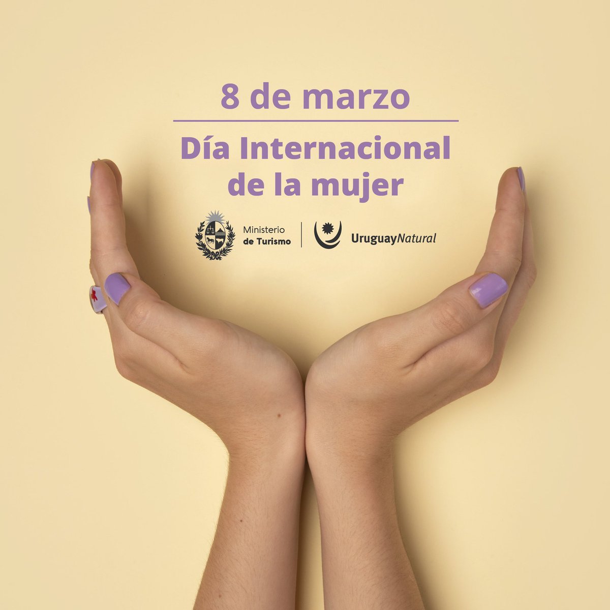 En el #DíaInternacionaldelaMujer 
compartimos y adherimos a los saludos y mensajes de la #IntendenciadeSanJosé #DestinoCentroSur <a href="/regioncentrosur/">DestinoCentroSur</a> #MINTUR y <a href="/Uruguay_Natural/">Uruguay Natural</a> #8M
"Un día, todos los días"

#ODS #ODS5  #8M2023 #IWD2023 #MesdelaMujer 

➕ ℹ
unwomen.org/es/noticias/an…