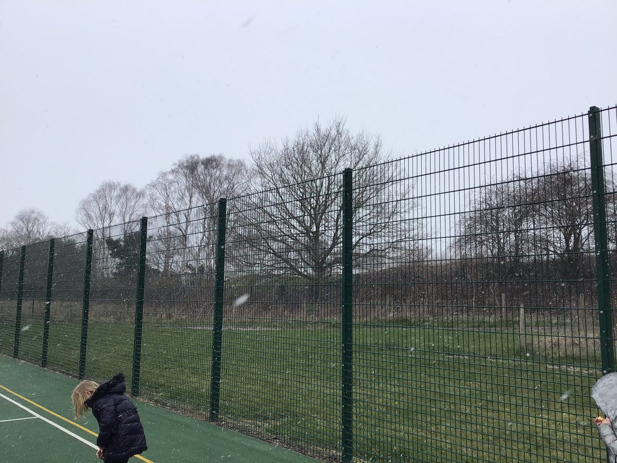 Dave Harrison tweet media