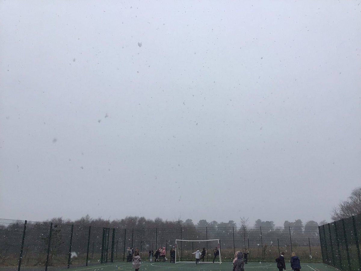 Dave Harrison tweet media