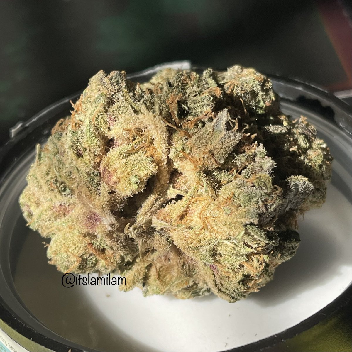 itslamilam's tweet photo. 𝒞𝒽𝑒𝓇𝓇𝓎 🍒 𝒫𝓊𝓃𝒸𝒽 𝑔𝑜 𝒸𝓇𝒶𝓏𝓎 🍃🔥
:
What’s on your wake and bake menu 😉
#WeedLovers #KushQueen✨🍃💨 #ReeferKeeper #Weedmob https://t.co/aBYEXMOKNw