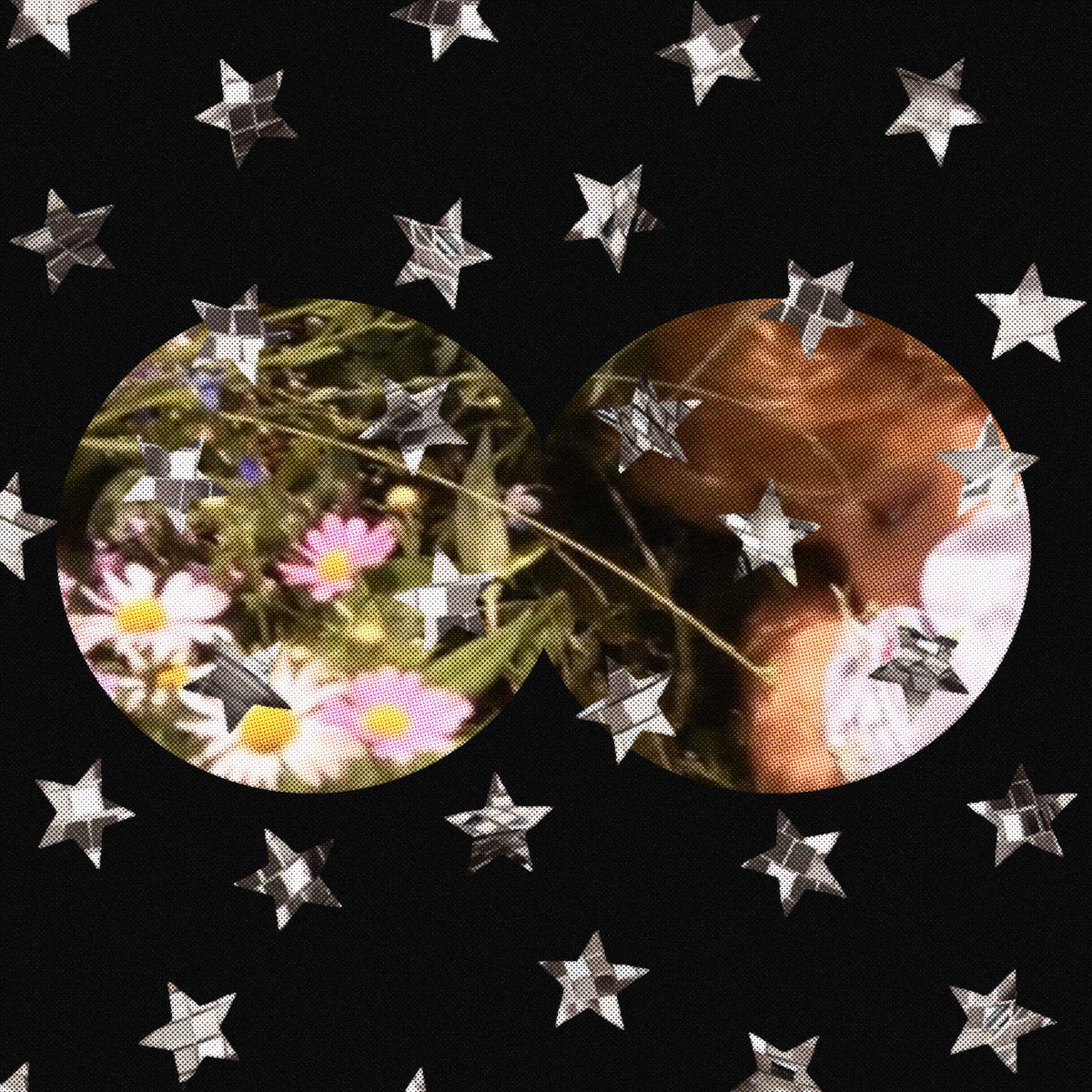 lando0wecanbewc's tweet photo. jm cd &amp; cd cover                                                     #JIMIN #artworkอาร์มี่  #artworkbts https://t.co/cTLjMsYZdV