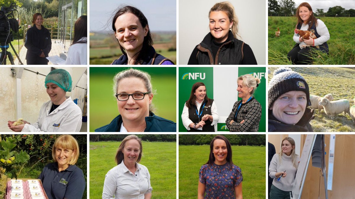 NFU Poultry tweet media