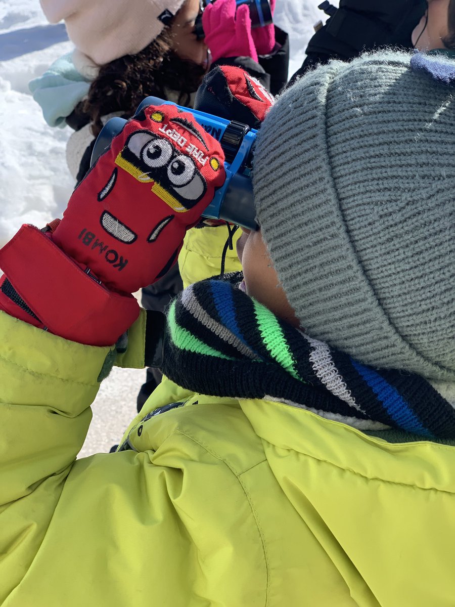 JLPSFDK115 tweet media