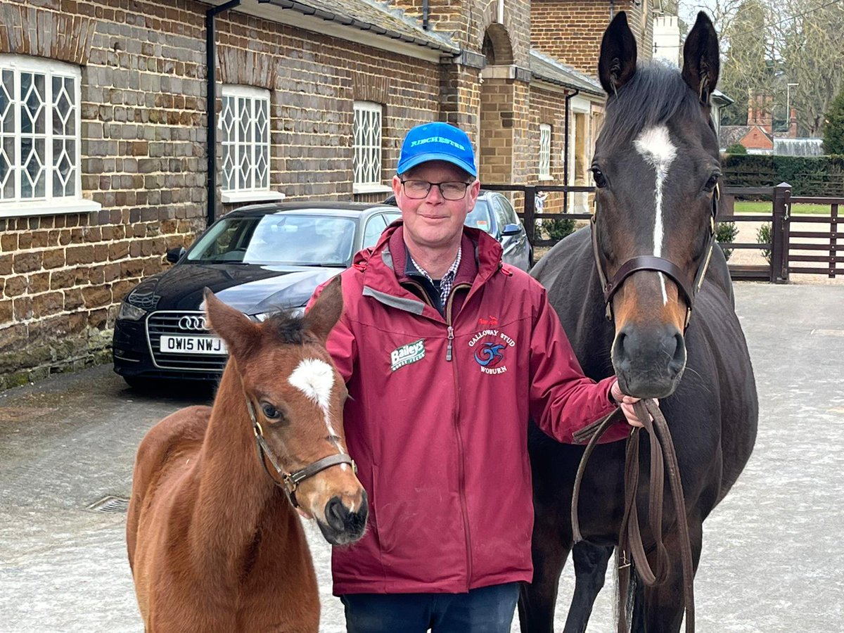 Jon Hughes (@ownersforowners) on Twitter photo Lovely photo from @SHibbett of the Jack Hobbs foal, Ruby, with mum Scented Lily <a href="/gallowaystud22/">Galloway Stud</a> She doesn't know she's from the Best Mate family and mum doesn't know she's off for a date with Golden Horn. Lovely photo from @SHibbett of the Jack Hobbs foal, Ruby, with mum Scented Lily <a href="/gallowaystud22/">Galloway Stud</a> She doesn't know she's from the Best Mate family and mum doesn't know she's off for a date with Golden Horn.