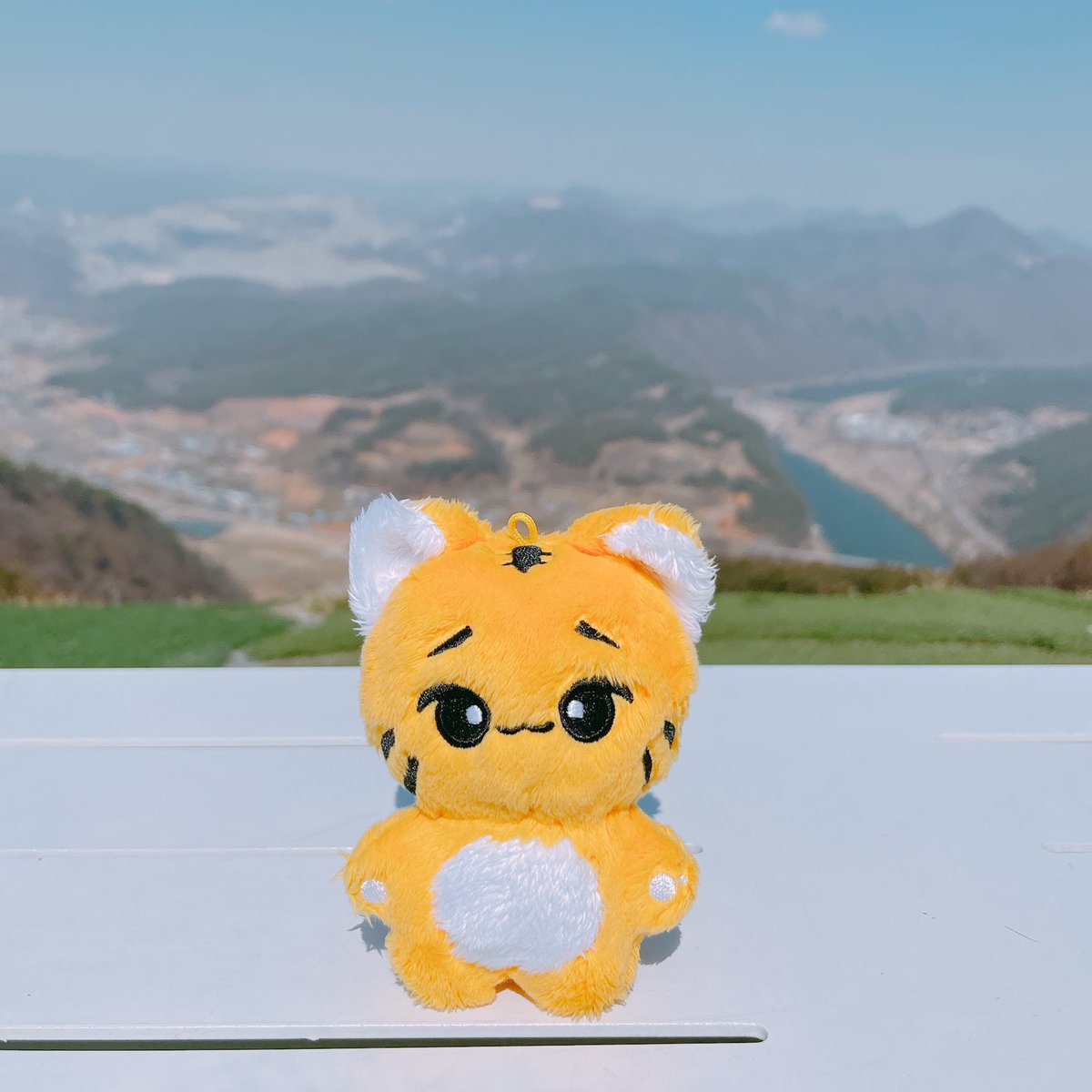 ic interest check ph haha z

hi anyone inch w jinsoul 10cm solang doll ?? ₱1k + i think bc i got it from yangdo 🥹

# loona wts lfb