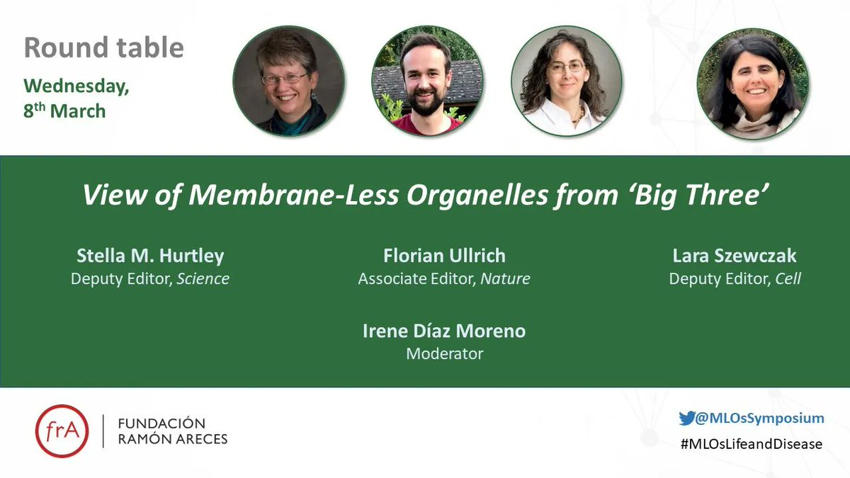 As manificient finale we are now having a round table to understand the View of Membrane-Less Organelles from ‘Big Three’,  @Nature, @CellPressNews, and @ScienceMagazine, at the #MLOsLifeandDisease Symposium
#frAreces #LLPS
@FundacionAreces @cicCartuja @SEBBM_es @unisevilla #RASC
