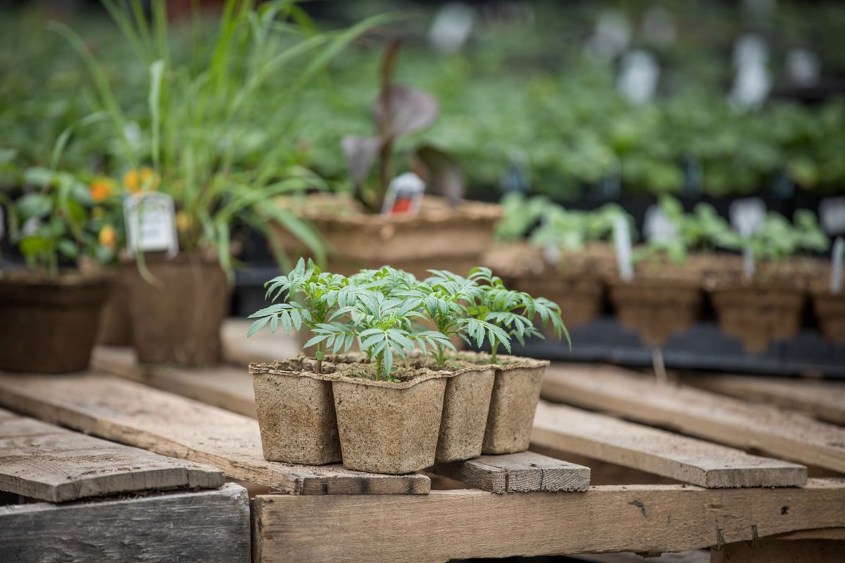 When you're on a dairy farm and forming pots from poo, everyday can feel like #biobasedproductsday 
Happy National Biobased Products Day! <a href="/BioPreferred/">BioPreferred Program</a>
