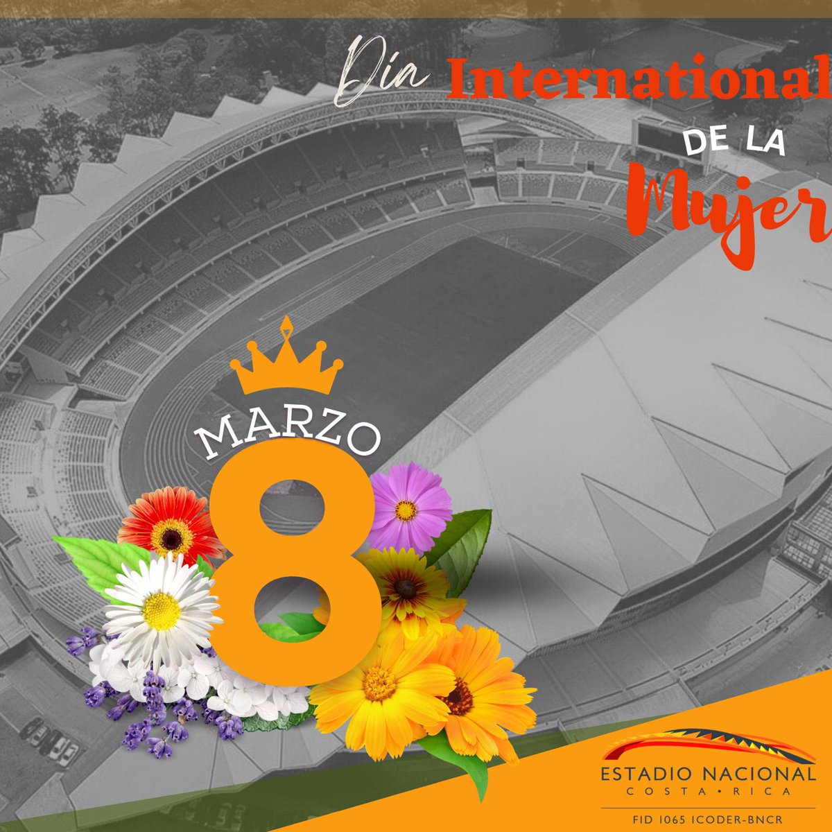 Día internacional de la Mujer.
