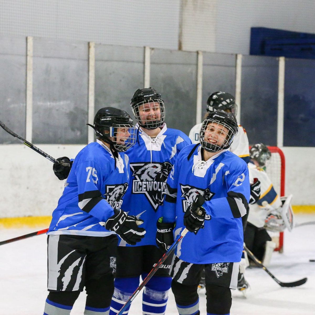 Bradford Ice Wolves Ice Hockey Club tweet media
