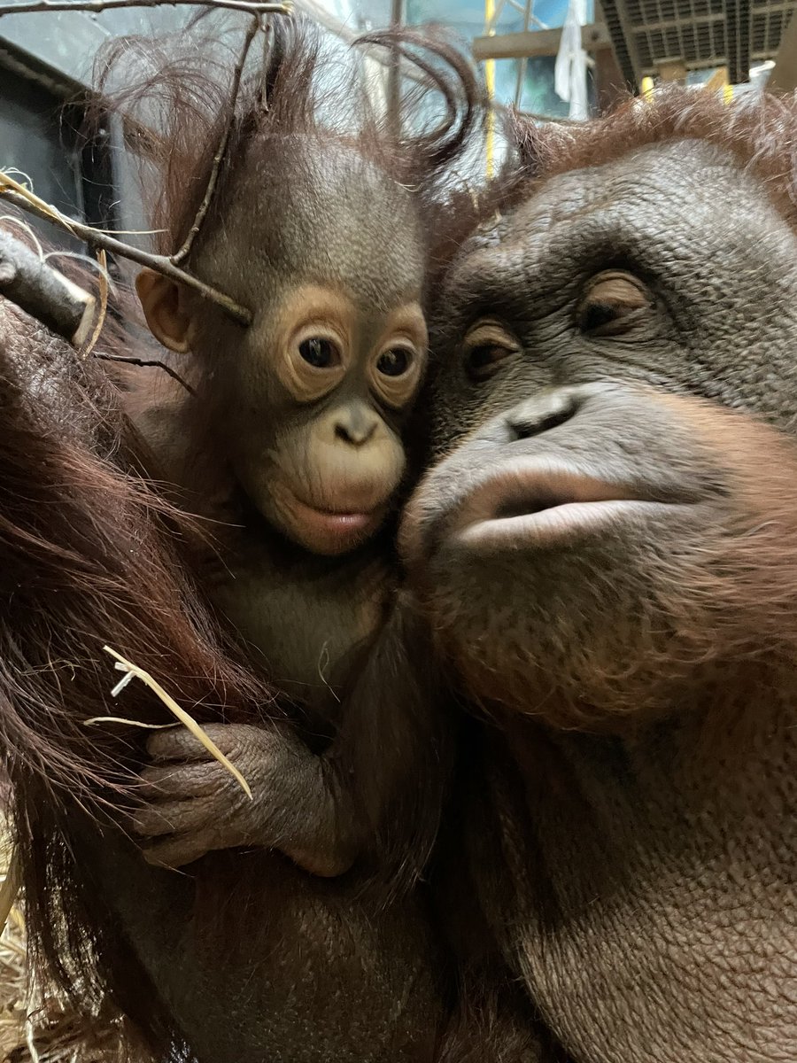 🚨 BREAKING NEWS🚨 Menjadi and Chelsea are still adorable. That is all. 📸 Keeper Lauralynn
