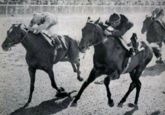 HORSERACING1002's tweet photo. NODOUBLE 🇺🇸1965
(NOHOLME II  - ABLA-JAY BY DOUBLE JAY)#Nodouble
1970 Metropolitan Handicap. https://t.co/HHVVDKgqUh