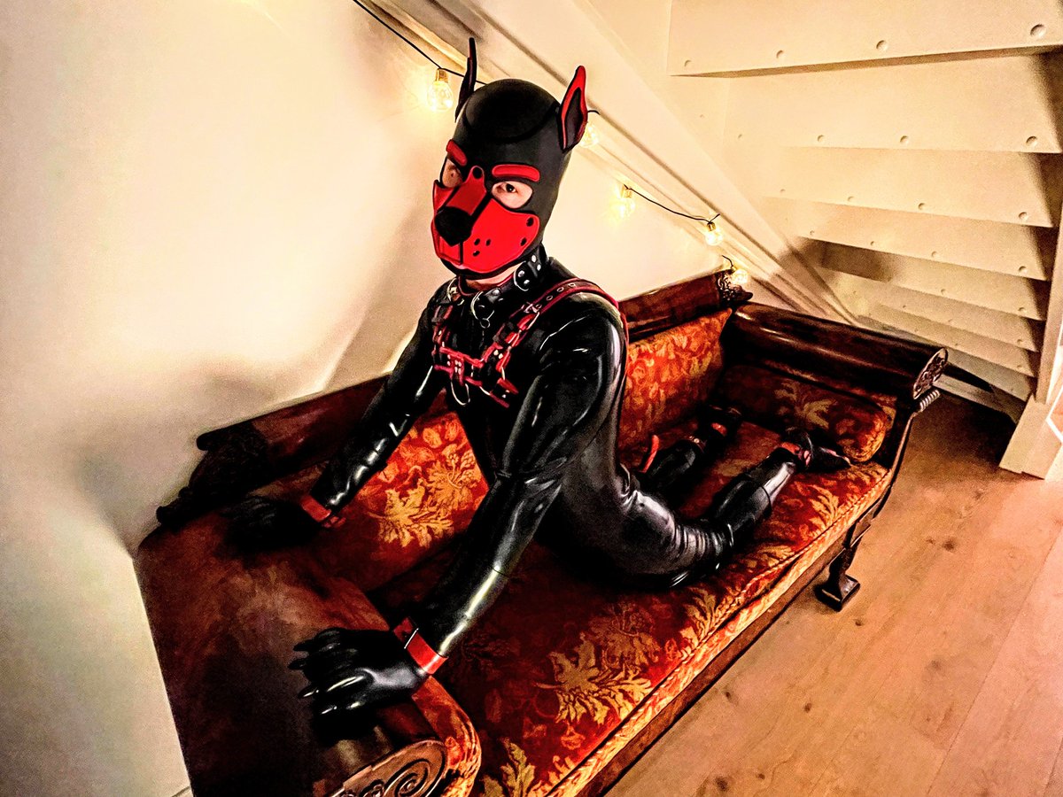 Practicing my downward dog... 🐶🐾