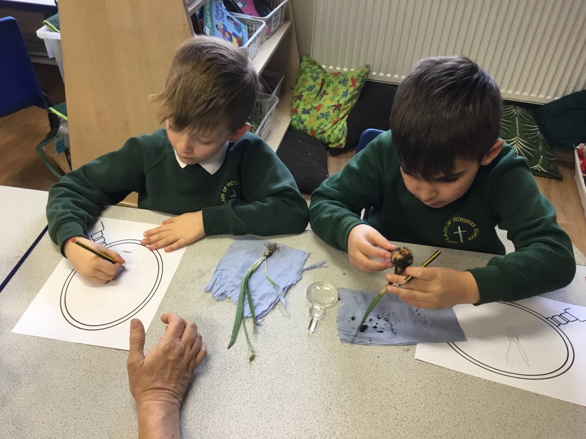olvschool's tweet photo. #OLVY2 have had a great afternoon looking at bulbs. They used magnifying glasses to look more closely and sketched what they could see. We have some super scientists! #OLVscience @bcw_cat https://t.co/MYpPvGL0J2