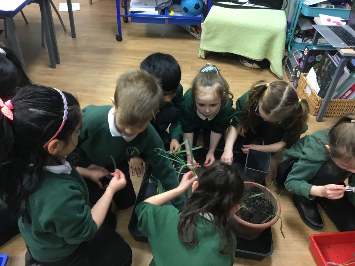 olvschool's tweet photo. #OLVY2 have had a great afternoon looking at bulbs. They used magnifying glasses to look more closely and sketched what they could see. We have some super scientists! #OLVscience @bcw_cat https://t.co/MYpPvGL0J2