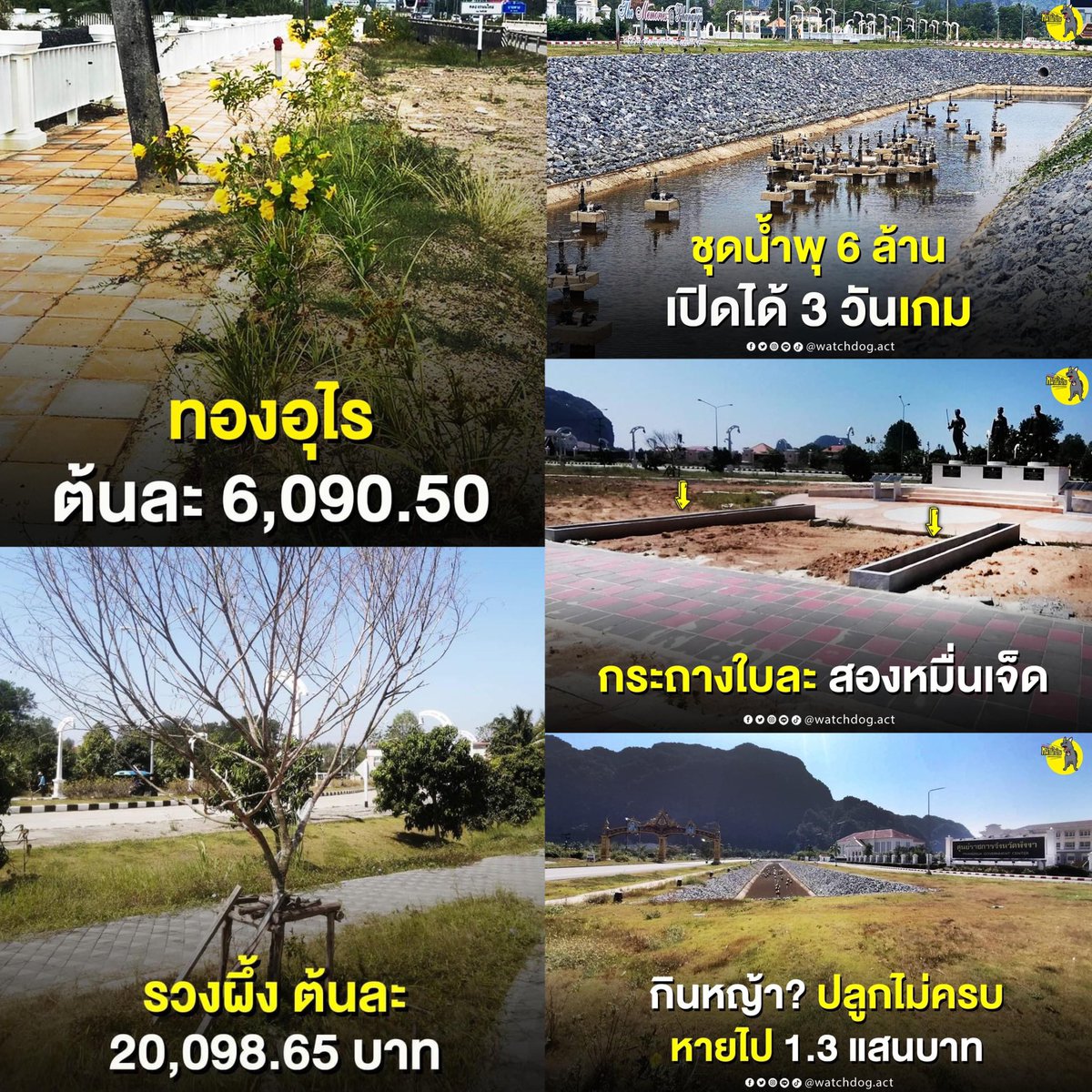 ทั้งหมดนี้เกิดขึ้นที่ศูนย์ราชการจังหวัดพังงาเพียงแห่งเดียว แล้วถ้าตรวจทั้งประเทศ จะเจอขยะใต้พรมอีกมากขนาดไหน