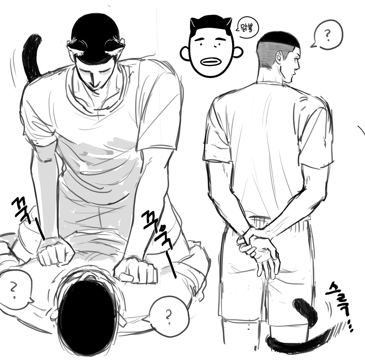 ppuppyo1's tweet photo. 냥헌이.. https://t.co/extvpWXtmd