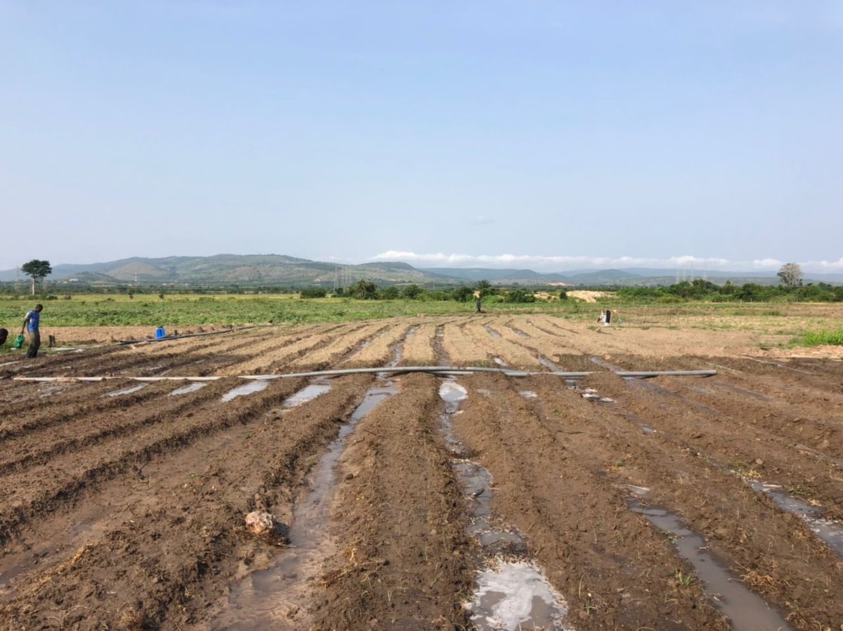 BeitFarms tweet media