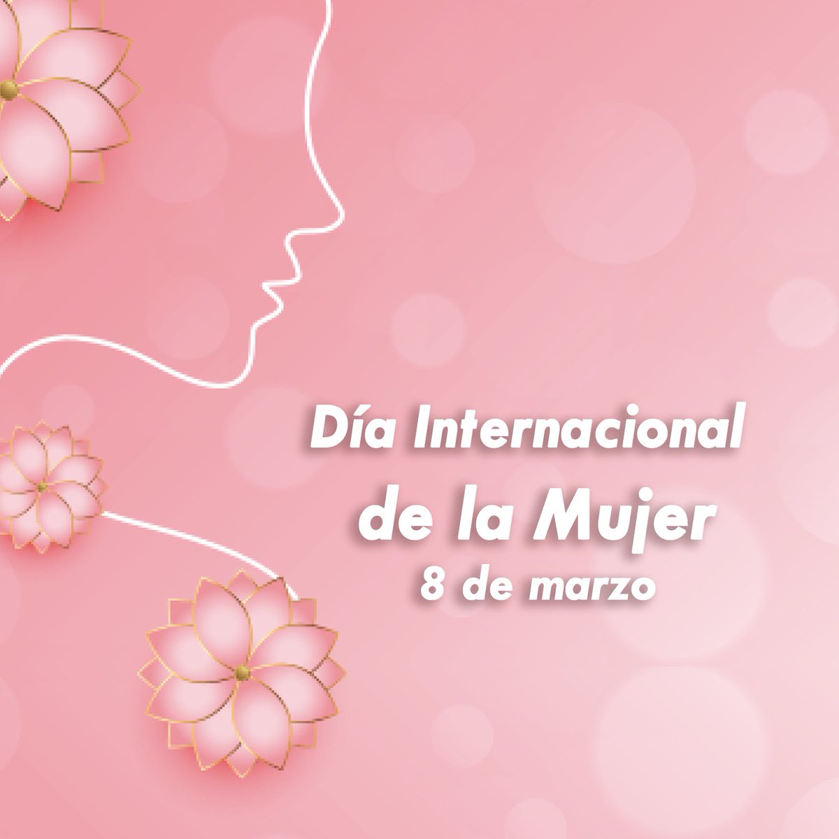 APTVenezuela's tweet photo. Mujer, eres el proyecto
más grande de Dios. 
Enorme como el universo,
fuerte como una roca, 
tierna como una flor
y apasionada como el sol.
#diadelamujer #diainternacionaldelamujer https://t.co/DVRtQiFYYb