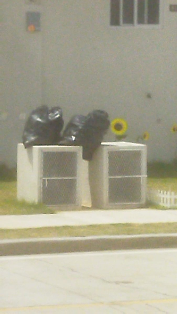 CalitoMckenzie's tweet photo. Buenos días 🌤 señores de @AAUD_Panama tenemos más de 20 días que no 😔 pasa el camión de la basura acá en Montemadero #4 y las veces que 🤔 pasan solo lo hacen en el Ph #1 #2 #3 siempre dicen que el camión está lleno solicitamos por favor recoger la basura #auxilio https://t.co/YzWFsuFa0D