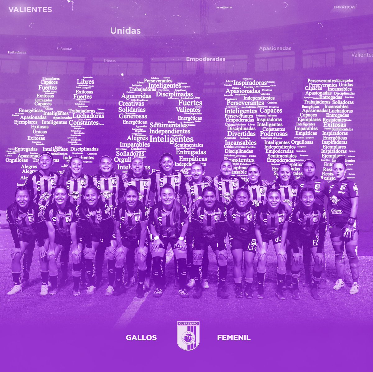 Siempre unidas. Siempre juntas. Siempre únicas. 

🟣¡En la cancha somos un equipo representando a miles!🟣

#8M | #DePieConQro