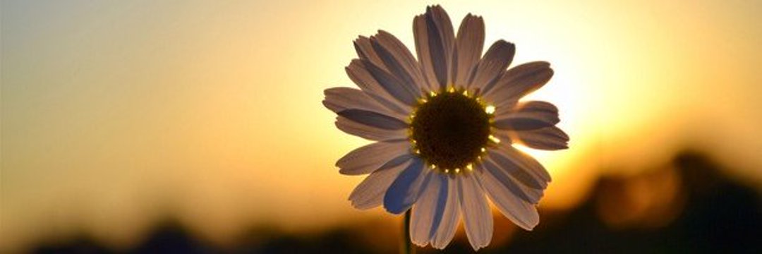 #snow Beautiful picture