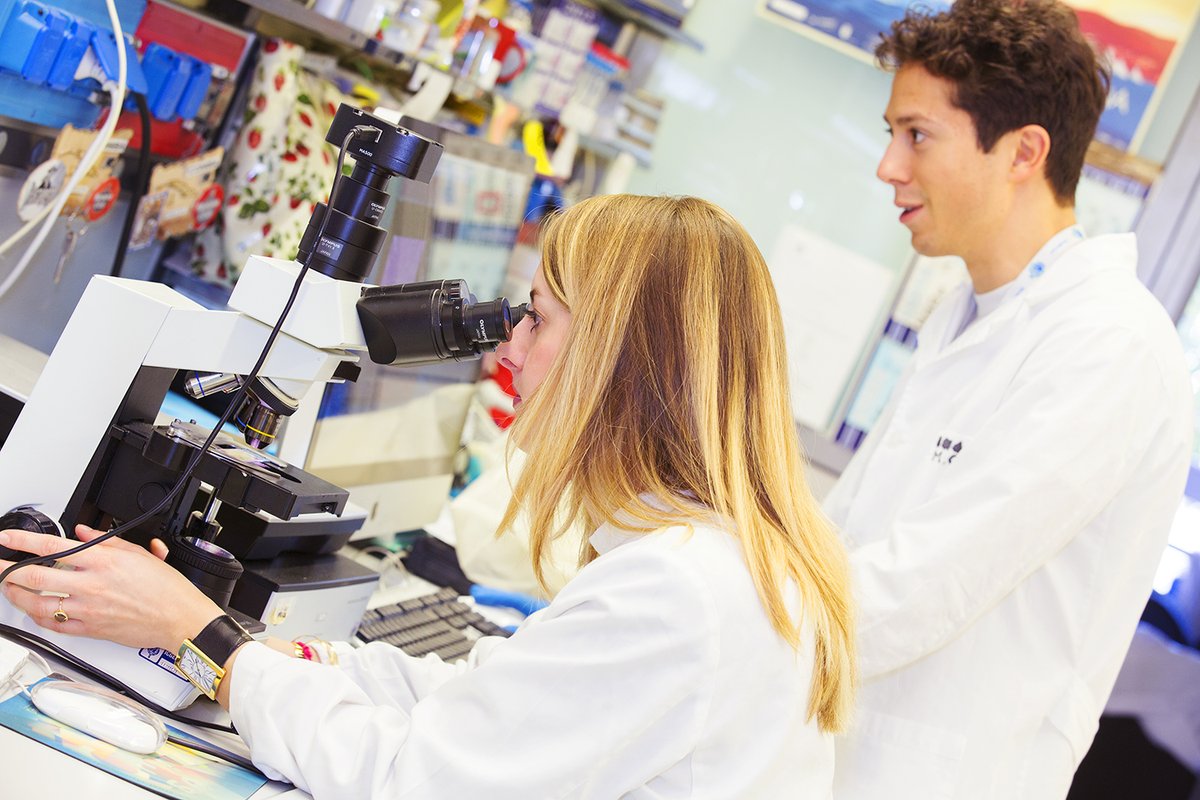 AreaSciencePark's tweet photo. L' #InternationalWomensDay è un’occasione di riflessione su #diritti, #parità e uguaglianza di #genere: temi su cui lavorare giorno dopo giorno e che meritano attenzione 365 giorni all’anno.

Qui: https://t.co/ufVYe0CWBU alcune delle azioni promosse dal nostro ente. https://t.co/gjcoWAttnd