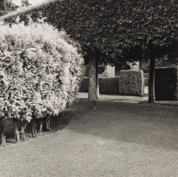 PlantingDiaries's tweet image. The Butterfly-Haunted Italian Garden, Glamis
Fay Godwin 1931 - 2005
National Galleries Scotland
Love the interplay between the textures of the tightly clipped topiary, the avenue of pleached trees, the hedges, grass and the shadows.
#InternationalWomansDay