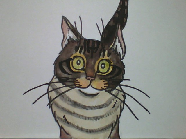 To women of the world with LOVE.
 #IWD2023 
  #pasericat