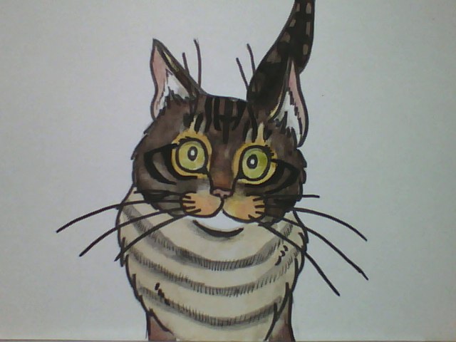 To women of the world with LOVE. #IWD2023 #pasericat