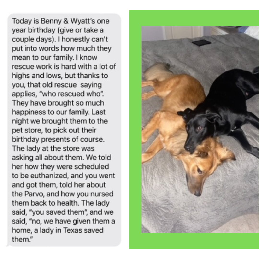 CARE TX Rescue (@care_tx_rescue) on Twitter photo 