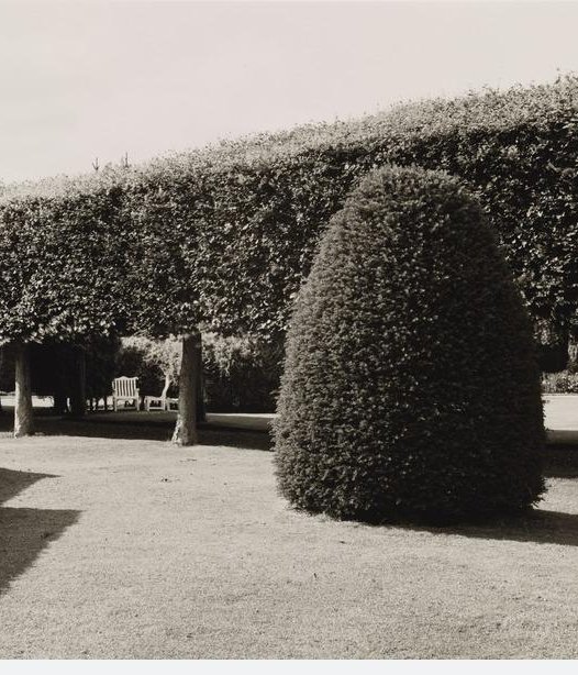 PlantingDiaries's tweet image. The Butterfly-Haunted Italian Garden, Glamis
Fay Godwin 1931 - 2005
National Galleries Scotland
Love the interplay between the textures of the tightly clipped topiary, the avenue of pleached trees, the hedges, grass and the shadows.
#InternationalWomansDay
