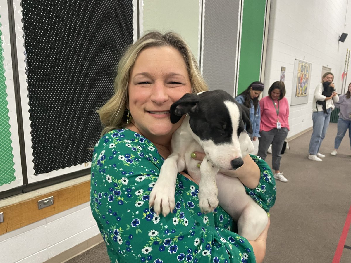 Puppy Play time for the staff today!  🐾
