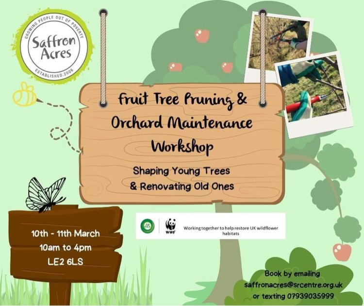 Saffron Acres tweet media