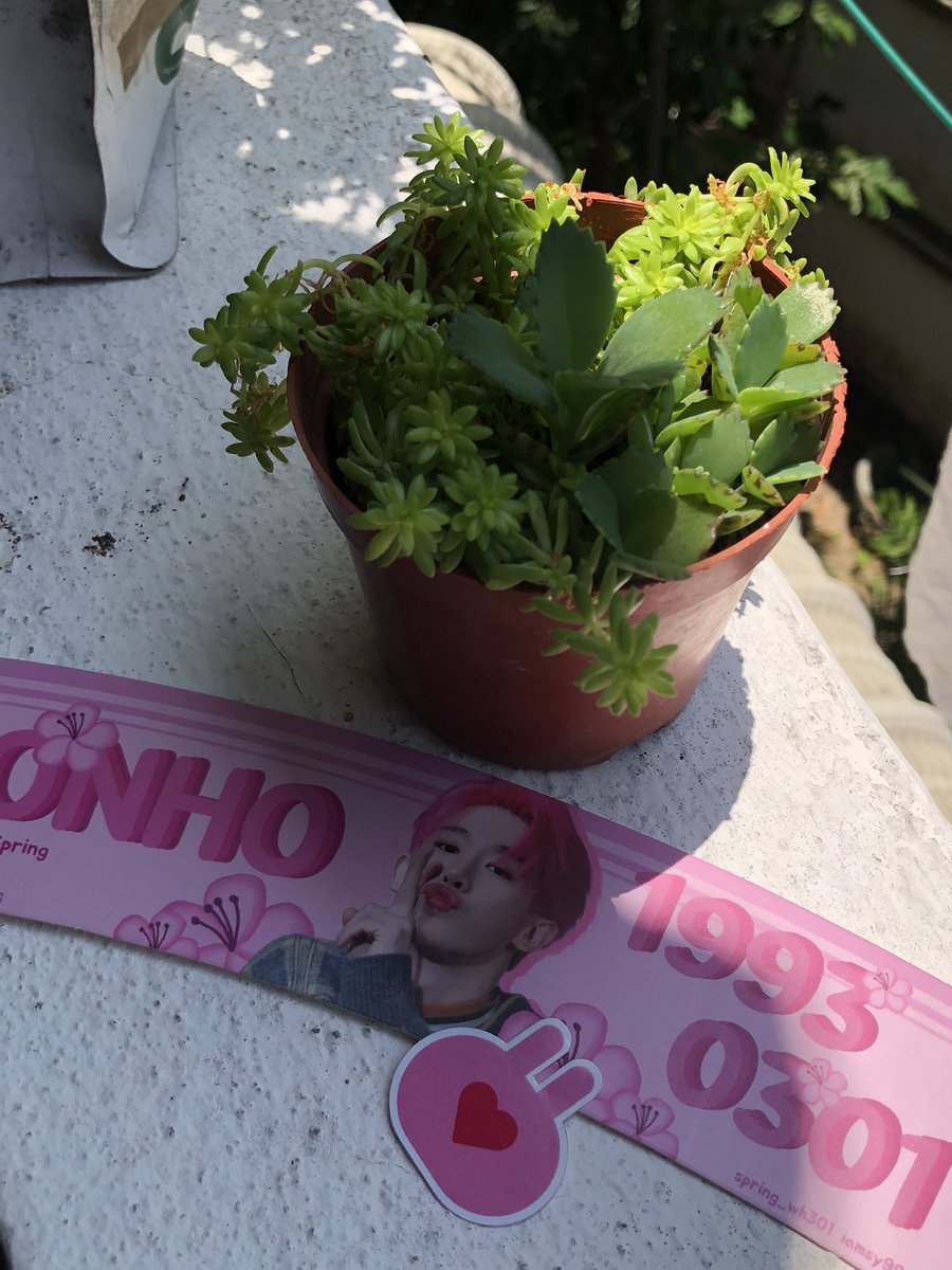 06JUNGC's tweet photo. Sneak peak for the cupsleeve! 
It was from The Miracles of Spring back in 2020. 
#HappyWonhoDay https://t.co/Z6mqPZzMEa