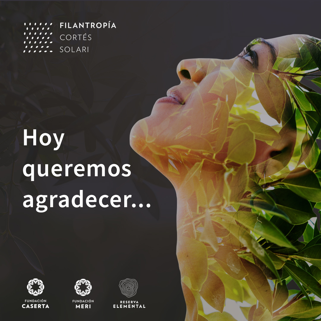 Filantropía Cortés Solari tweet media