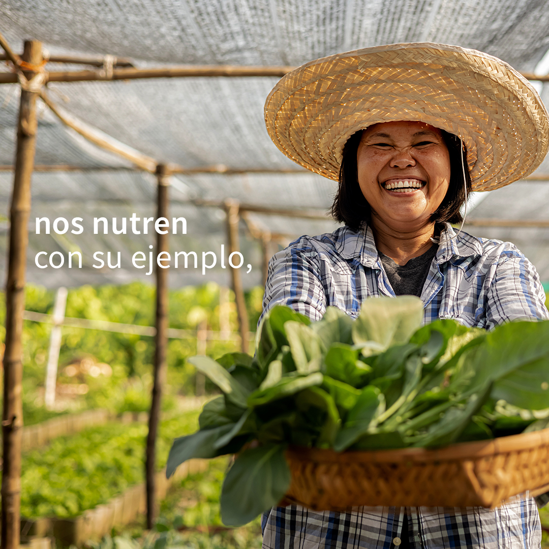 Filantropía Cortés Solari tweet media