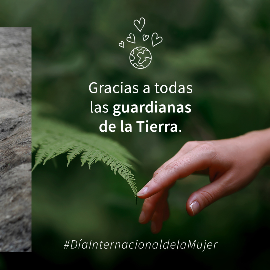 Filantropía Cortés Solari tweet media