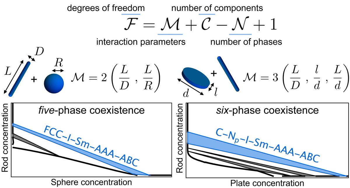 A new theory is published to predict the phase behavior of binary colloidal mixtures, revealing a range of multi-phase coexistence regions including even such as a six-phase region for a mixture of rods and plates. Understanding the phase stability is key. bit.ly/3yFHN1H