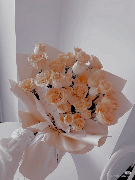 steelborned's tweet photo. ㅤ

⠀⠀    𝗵𝘄𝗮_𝗶𝗻𝘁𝗵𝗲𝗮𝗺  posted on instagram ! 
⠀⠀    to the best noona i could ever ask for ﹐ happiest birthday ♥️ you have always been an inspiration for me. 너의 생일을 즐겨라, 가장 예쁜 선배님! ⠀⠀    ⠀⠀    

ㅤ https://t.co/DjRHrfXJcz