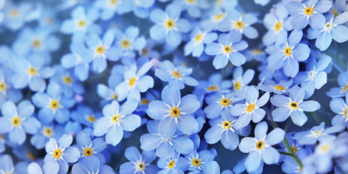 Macrochain Intern tweet media