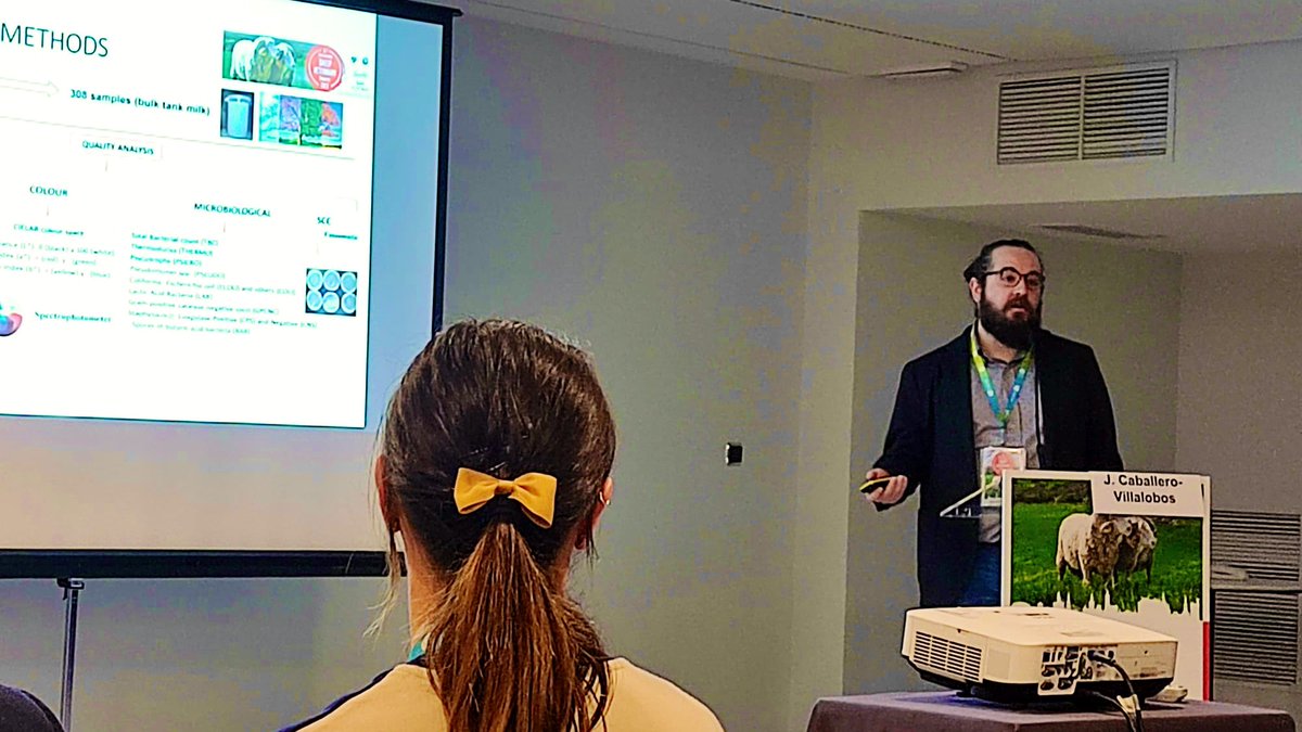 jcaballerovet's tweet photo. A slightly different topic today, presenting microbiological results for bulk tank sheep milk from Castilla-La Mancha. Quite exhausted after 4 oral presentations in less than 24 hours! Again, thanks to everyone who attended and for the useful questions and comments. #ISVC2023 https://t.co/HIG20XCPbK