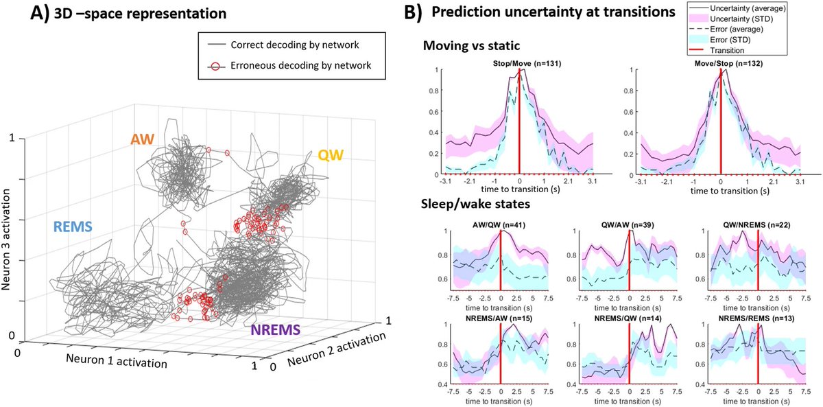Tanter Mickael (@tanterm) on Twitter photo Decoding of Quiet Wake, Active Wake, NREM sleep and REM sleep from the sole use of vascular mapping using functional Ultrasound Imaging <a href="/SciReports/">Scientific Reports</a> Decoding of Quiet Wake, Active Wake, NREM sleep and REM sleep from the sole use of vascular mapping using functional Ultrasound Imaging <a href="/SciReports/">Scientific Reports</a>