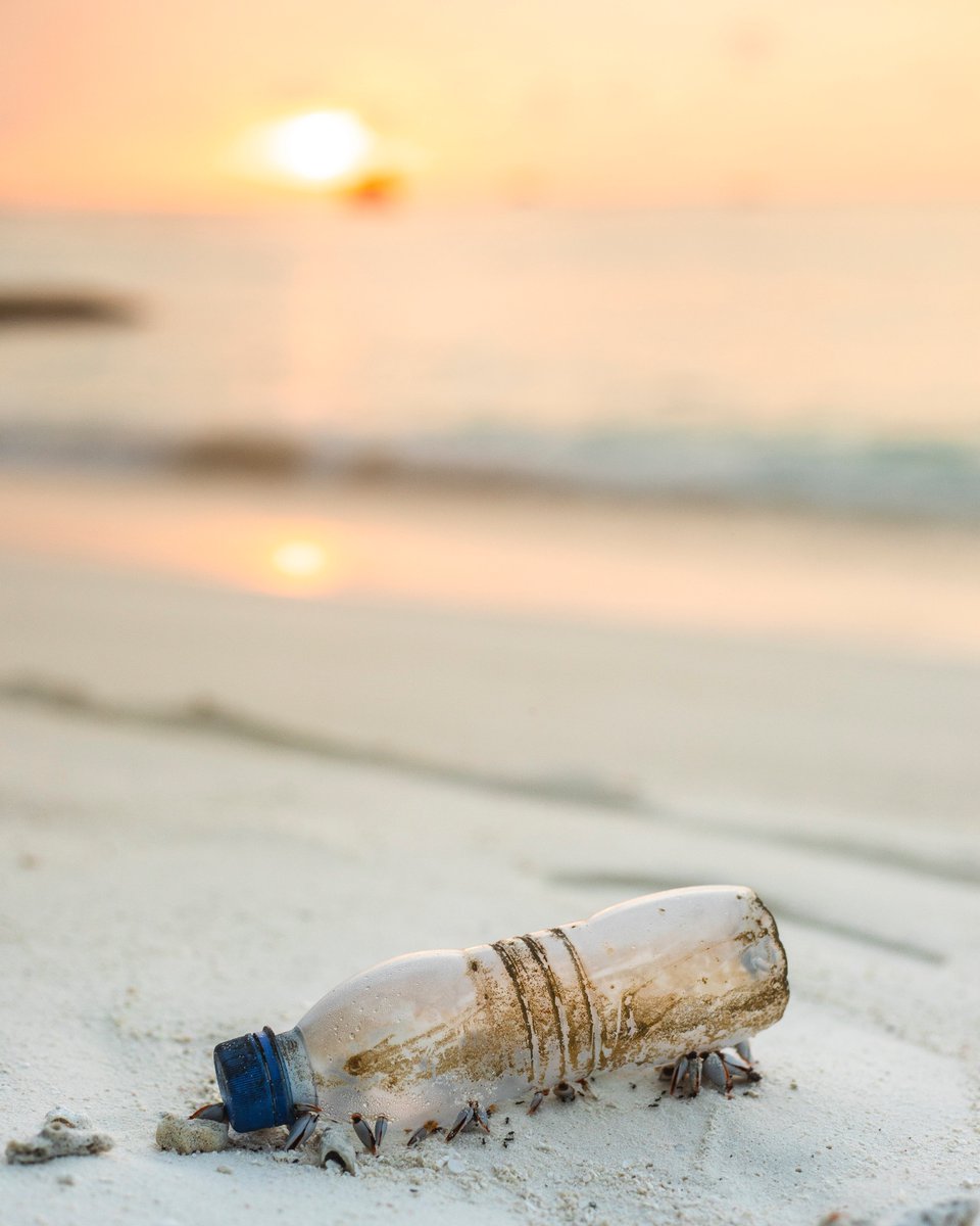 Hey <a href="/Dow_Canada/">Dow Canada</a>, <a href="/ImperialOil/">Imperial Oil</a>, &amp; <a href="/NOVAChemicals/">NOVA Chemicals</a>, stop putting profits over Canada's progress on plastic pollution. More than 90% of plastic currently ends up as garbage or litter, where it wreaks havoc on wildlife🐢🦦. We want real solutions, not more pollution! #StopBigPlastic