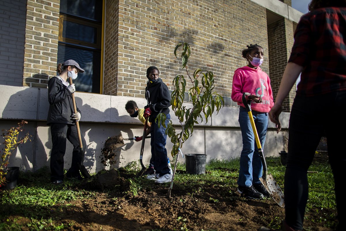 With support from grants and @TheNetterCenter, the Andrew Hamilton School in Cobbs Creek is now home to a food forest and a thriving garden, providing healthy produce, green space, stormwater management, and educational opportunities. Read More: bit.ly/3T6I1In