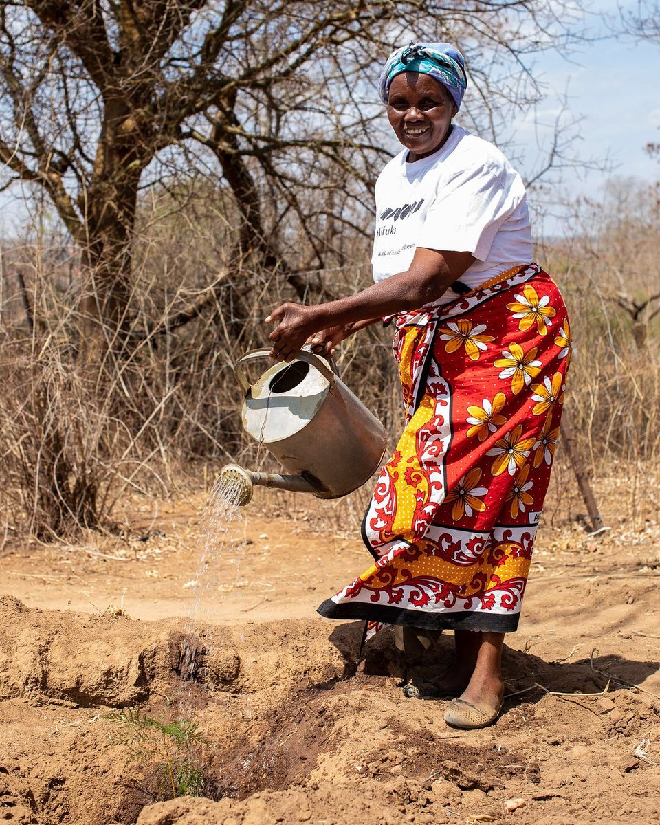 SoilWatch tweet media