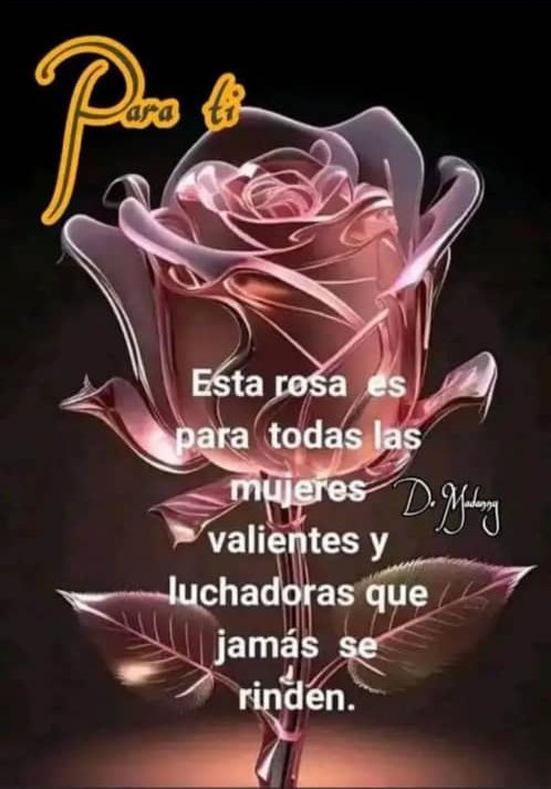 Muchas felicidades para todas las féminas en este maravilloso día💐💐💐💐💐💐💐💐💐💐💐💐💐💐💐💐💐💐💐💐💐💐💐💐💐