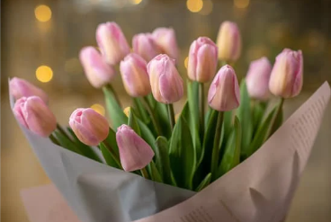 foursea04990246's tweet photo. 🐟Happy #InternationalWomen'sDay 2023 💐
#IronFishCommunity
Congratulations to the entire female part of the @ironfishcrypto community,  @mlblanchette @leanthebean https://t.co/nWKNmx1bZl