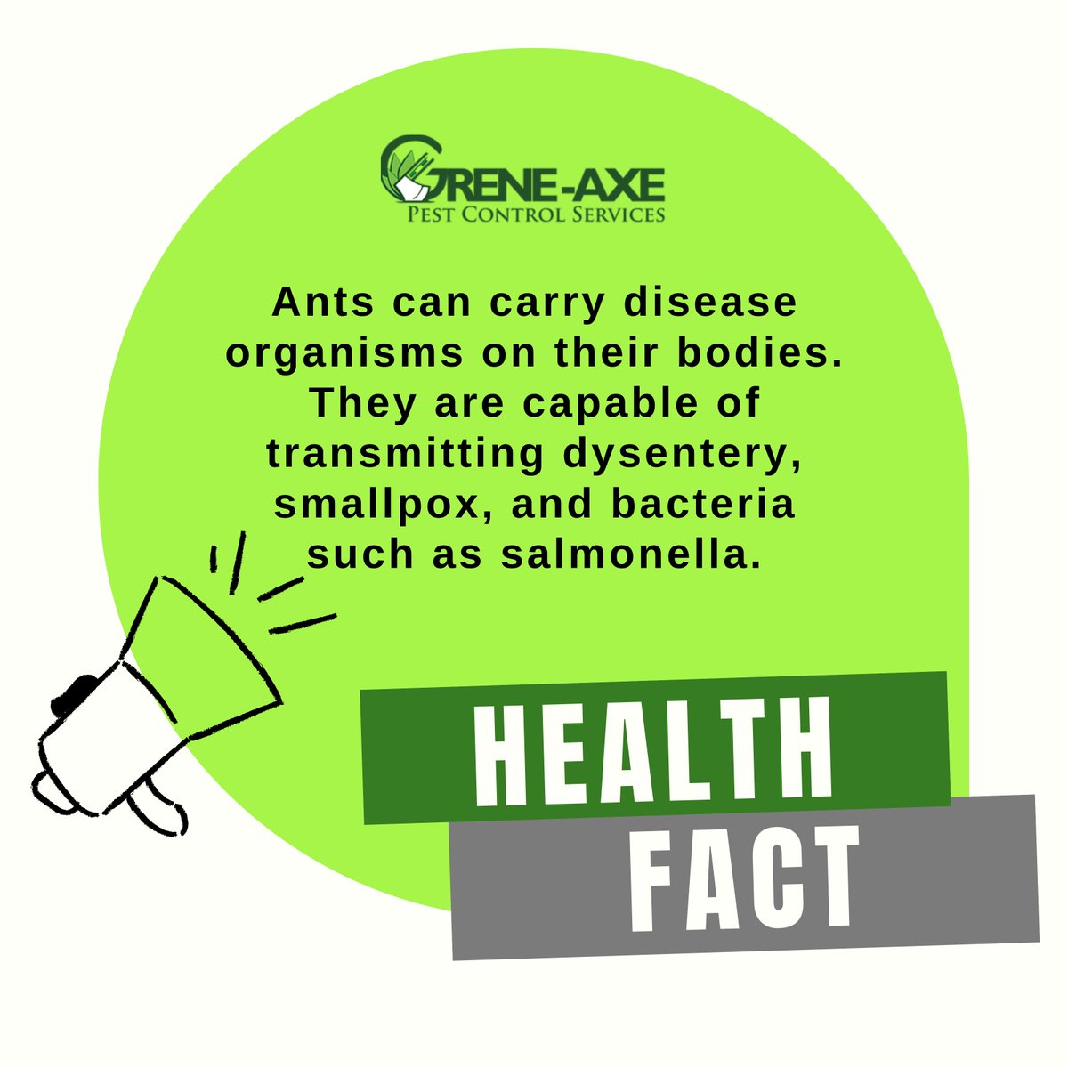 Ants can carry disease organisms on their bodies. They are capable of transmitting dysentery, smallpox, and bacteria such as salmonella.

Call us today to find out how we can help you stay protected all year long.
---
🌐 greneaxe.com
.
#greneaxepestcontrol